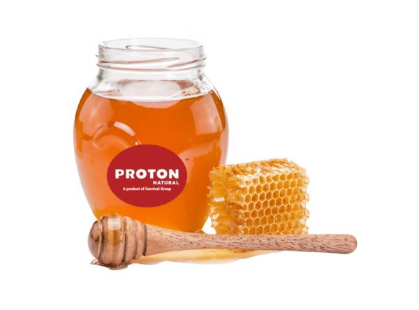 TREEBEE FRENCH LEMON HONEY - Hình ảnh 3