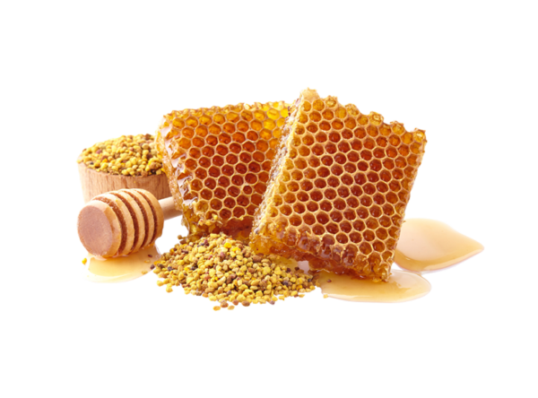 TREEBEE FRENCH LEMON HONEY - Hình ảnh 4
