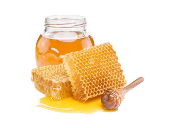 TREEBEE FRENCH LEMON HONEY - Hình ảnh 2