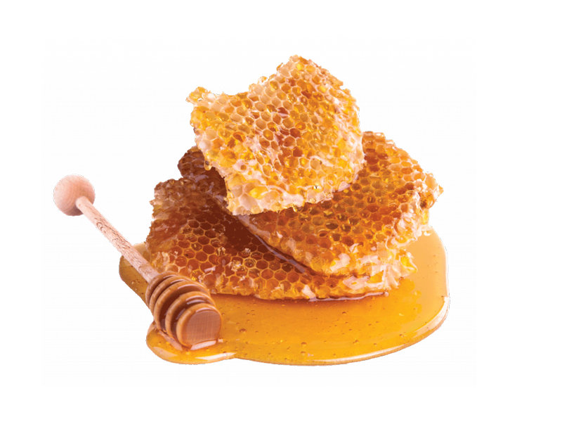 SEA HONEY