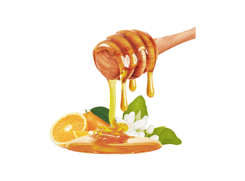 HADDAR 1 LB HONEY